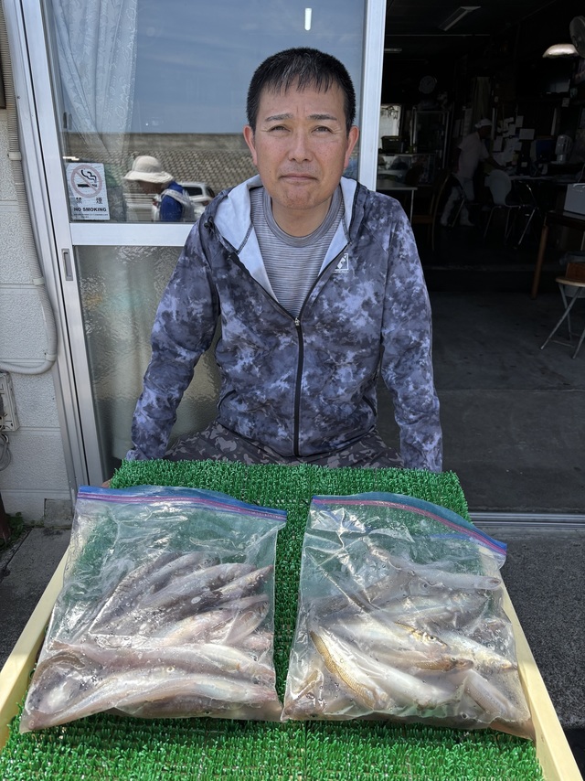 シロギス