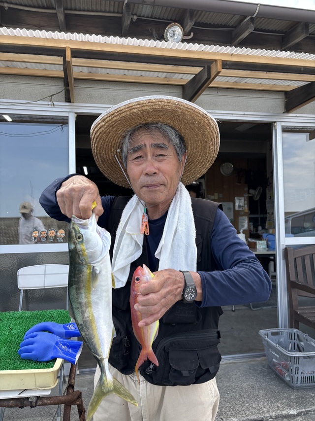 アジ(マアジ)
