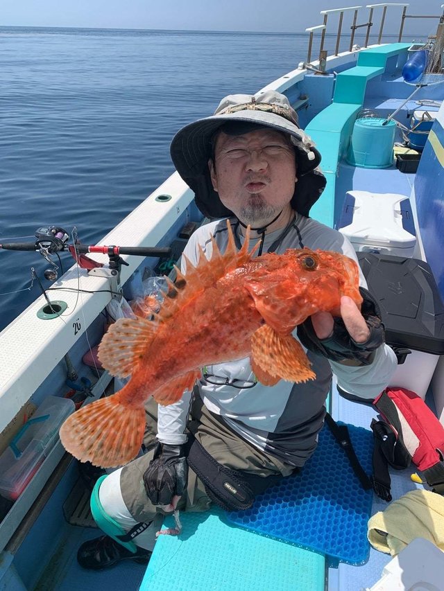 オニカサゴ