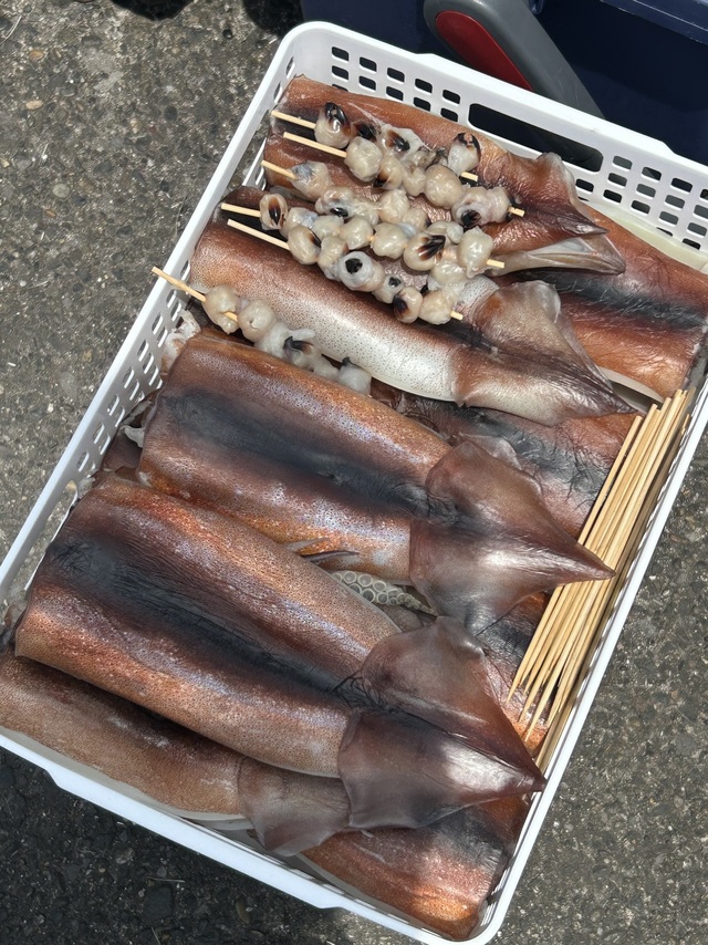 スルメイカ