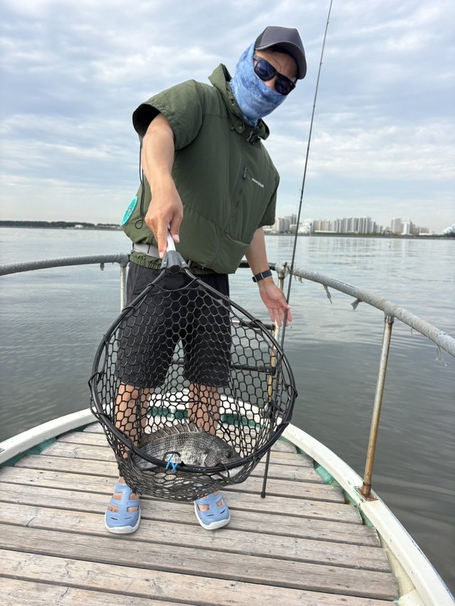 クロダイ