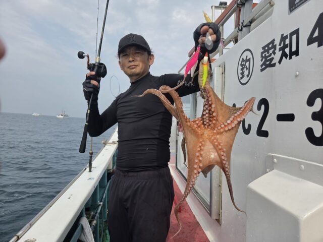 タコ(マダコ)