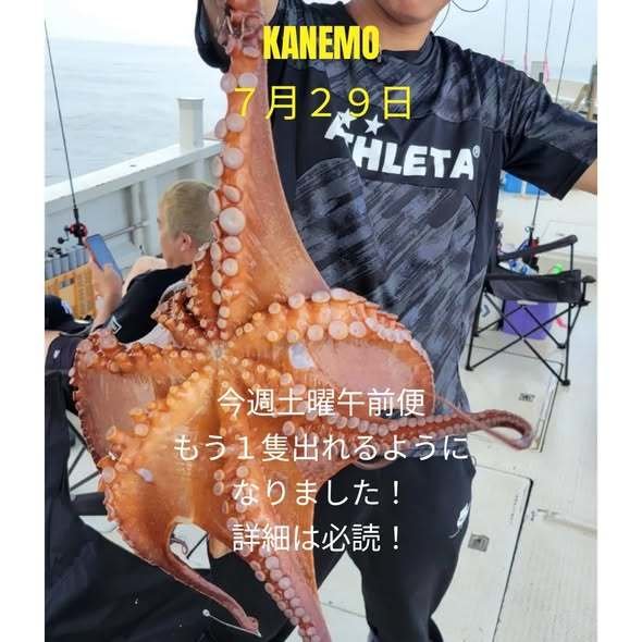 マダコ