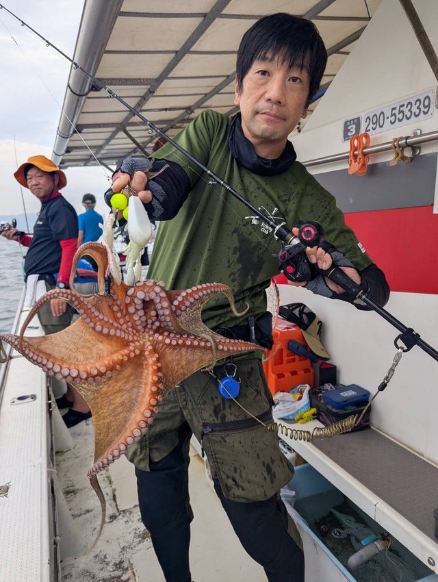 マダコ