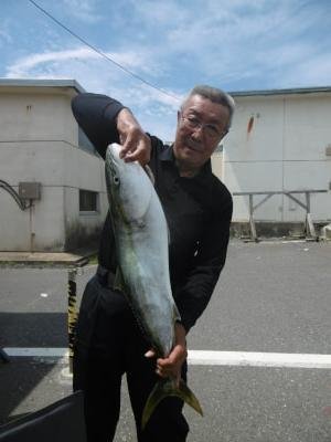 ワラサ(ブリ)