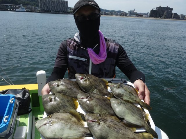 カワハギ
