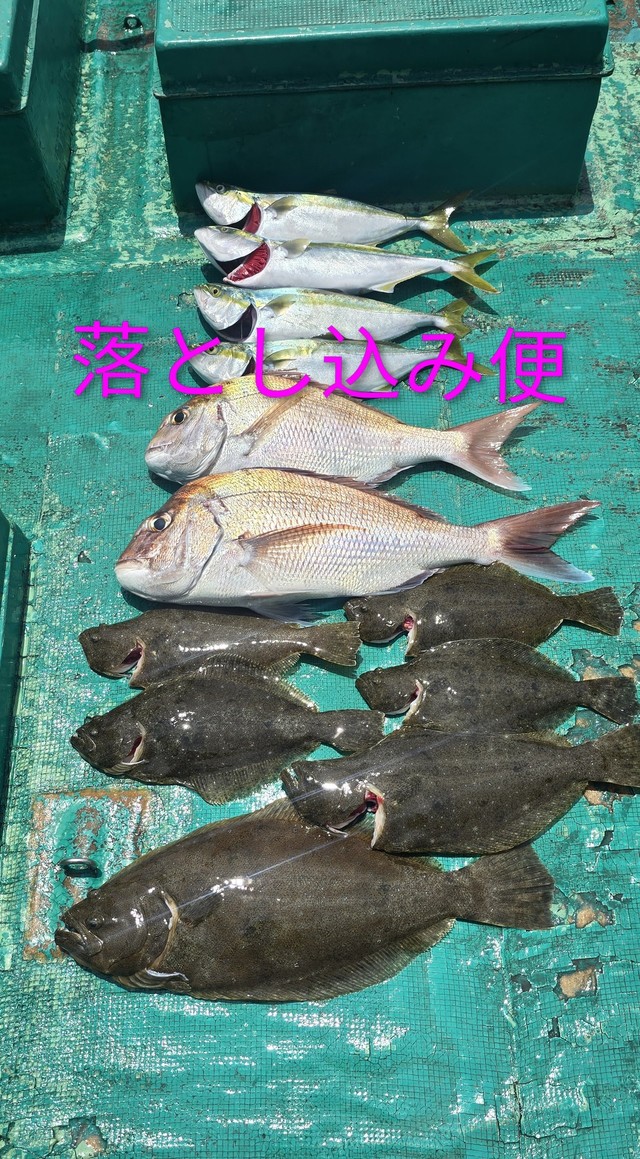 マダイ・ヒラメ
