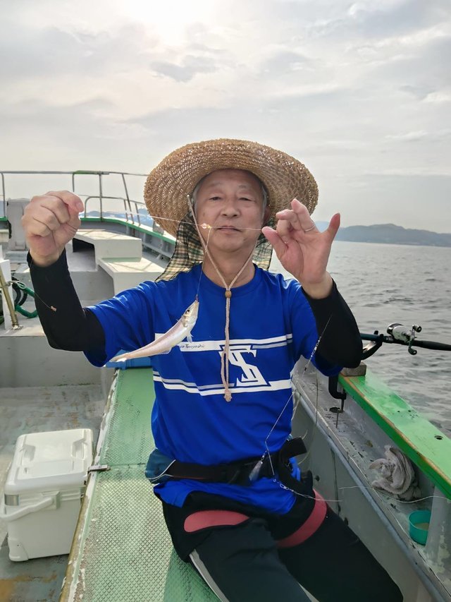 シロギス