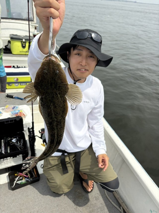 マゴチ