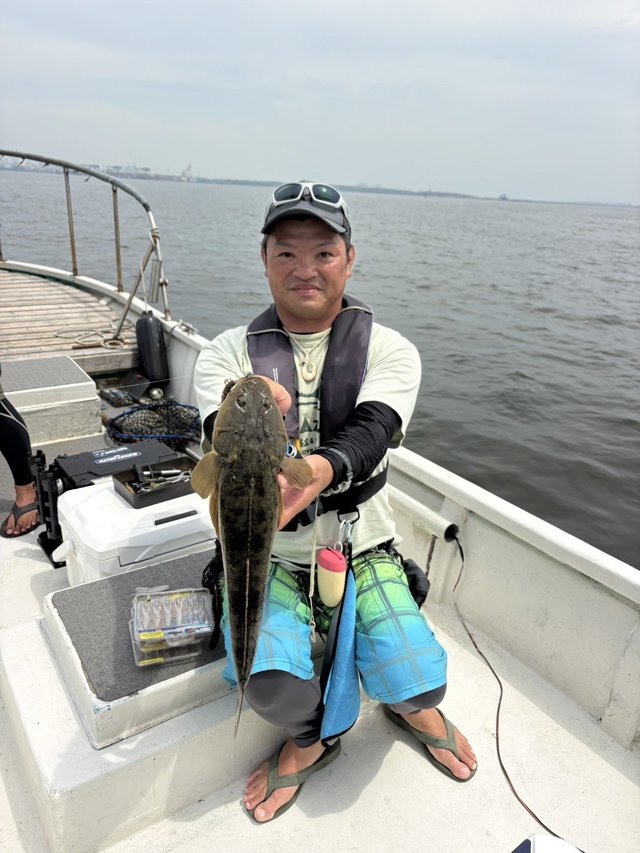 マゴチ