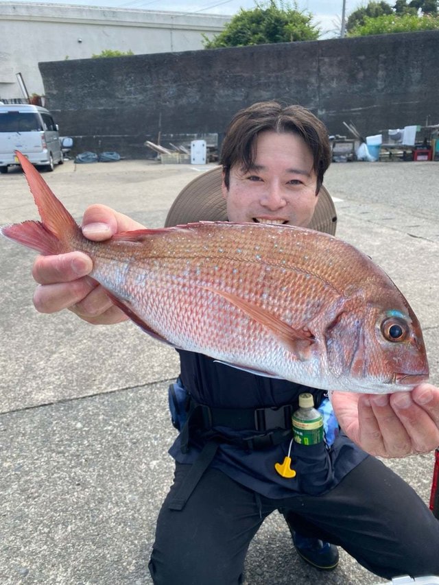 マダイ