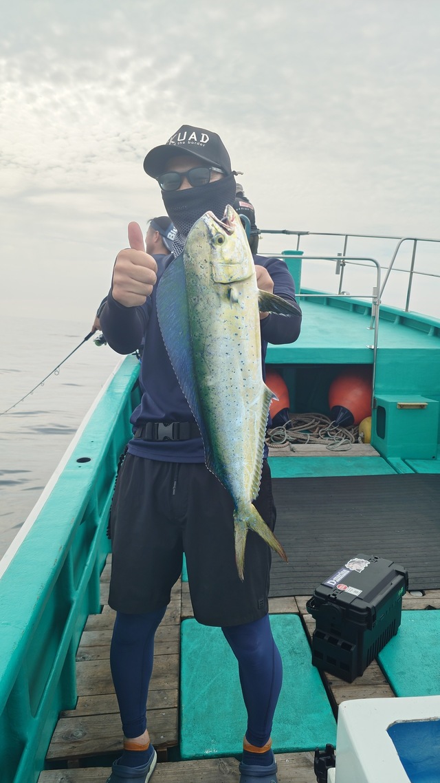 シイラ
