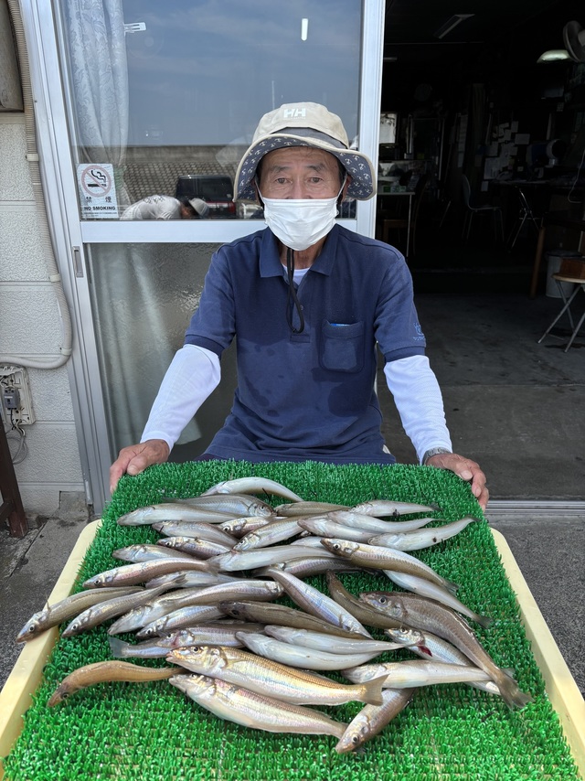 シロギス