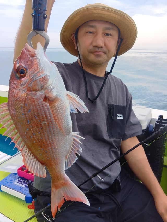 マダイ