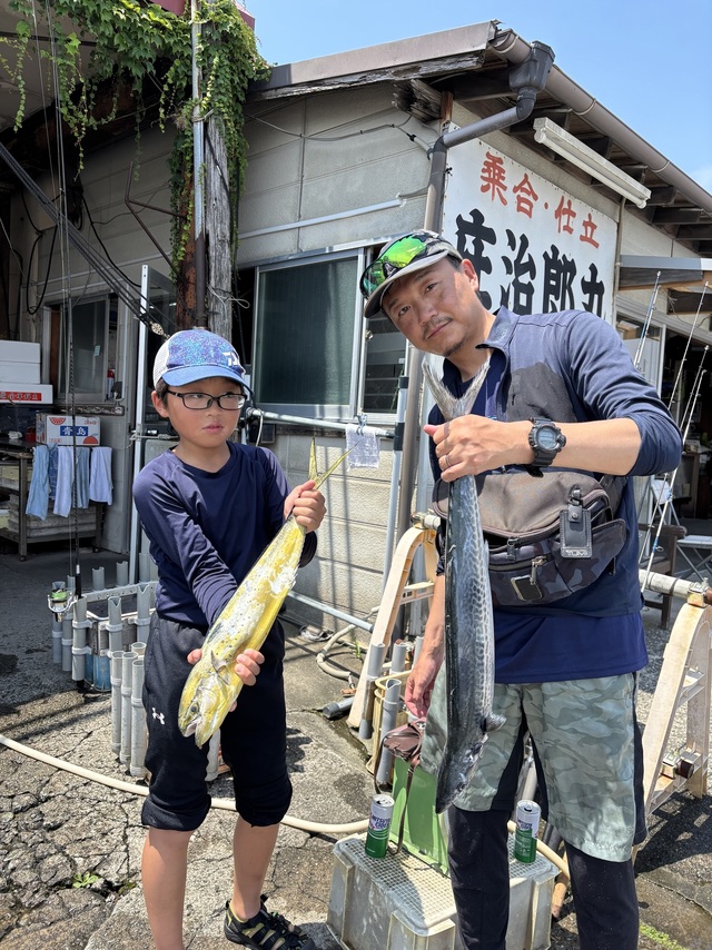 シイラ