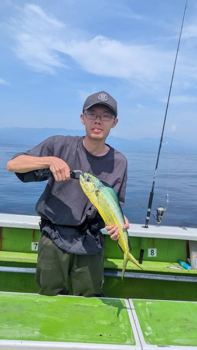 シイラ
