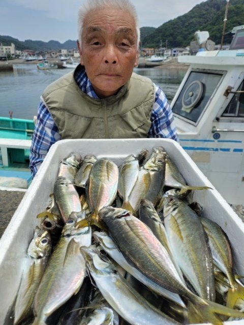 アジ(マアジ)