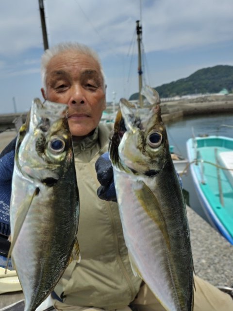 アジ(マアジ)
