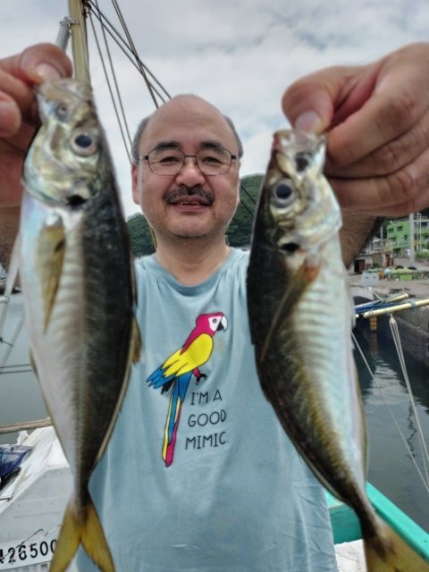 アジ(マアジ)