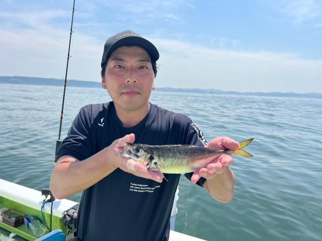 アジ(マアジ)