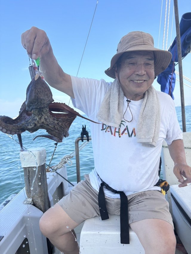 マダコ