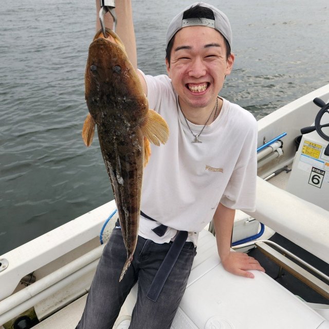 マゴチ