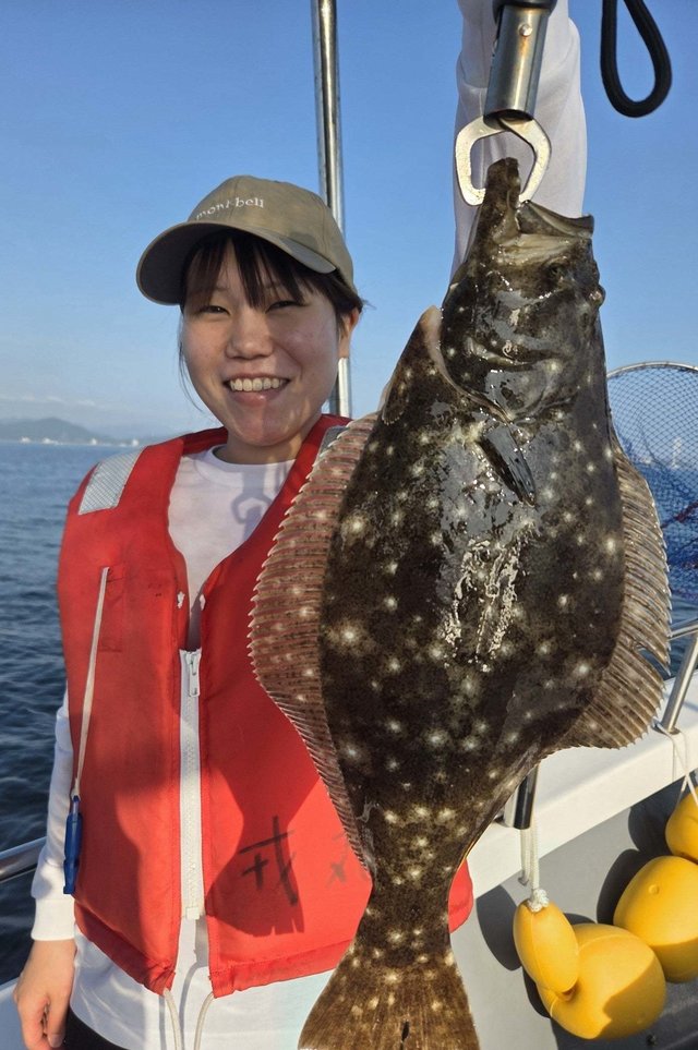 ヒラメ