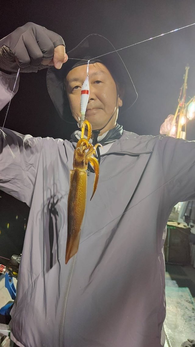 ムギイカ(スルメイカ)