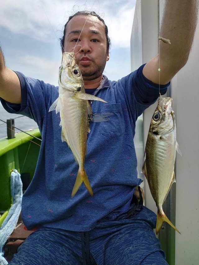 アジ(マアジ)