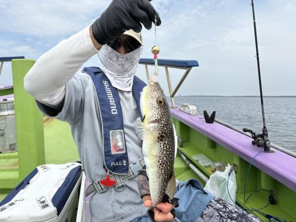 ショウサイフグ