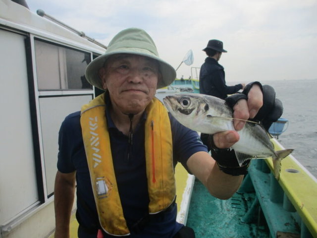 アジ(マアジ)