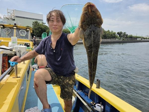 マゴチ