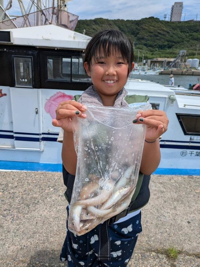 シロギス