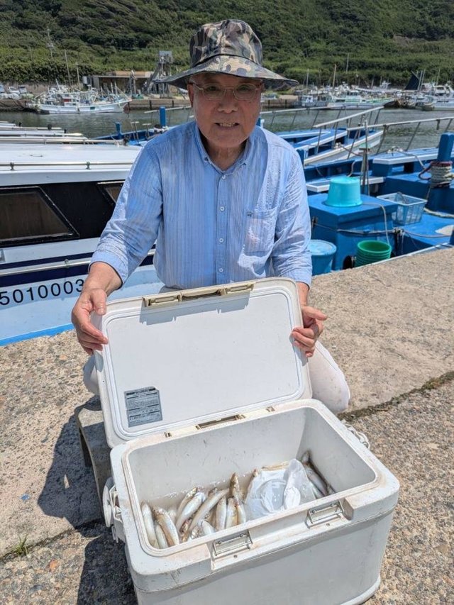 シロギス