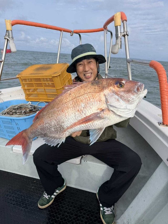 マダイ