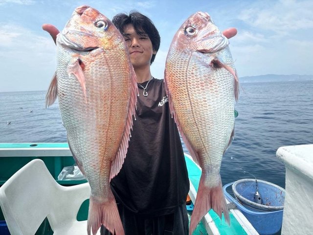 マダイ