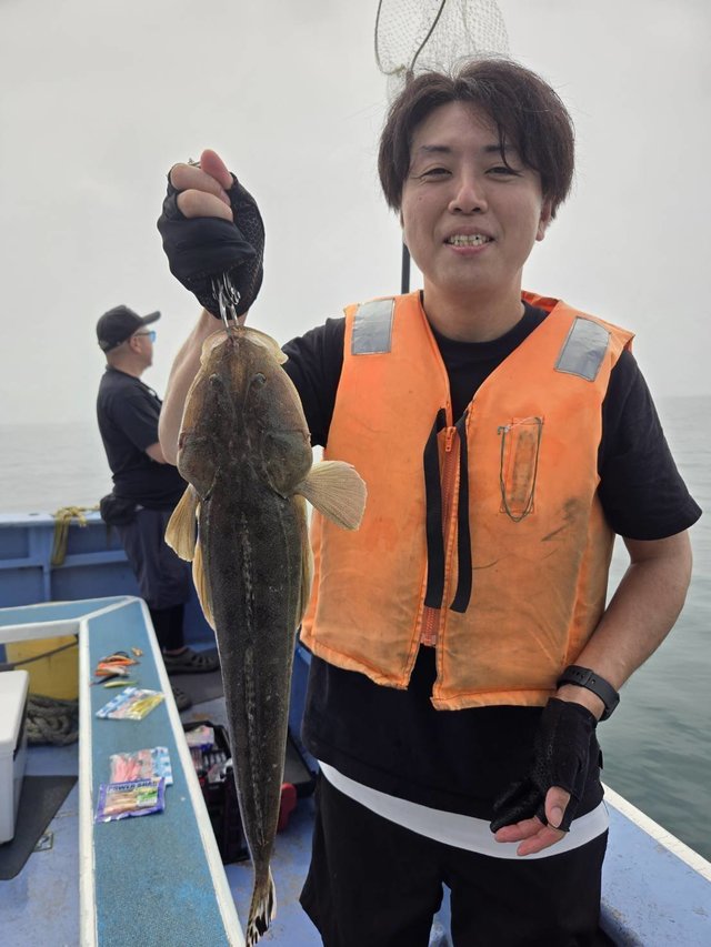マゴチ