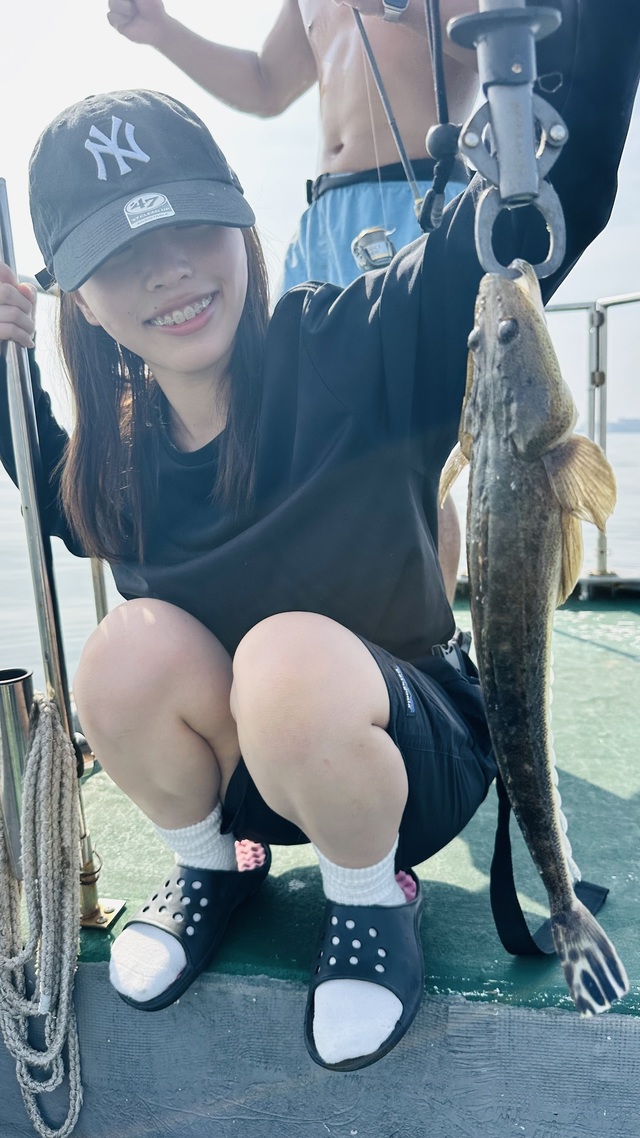 マゴチ