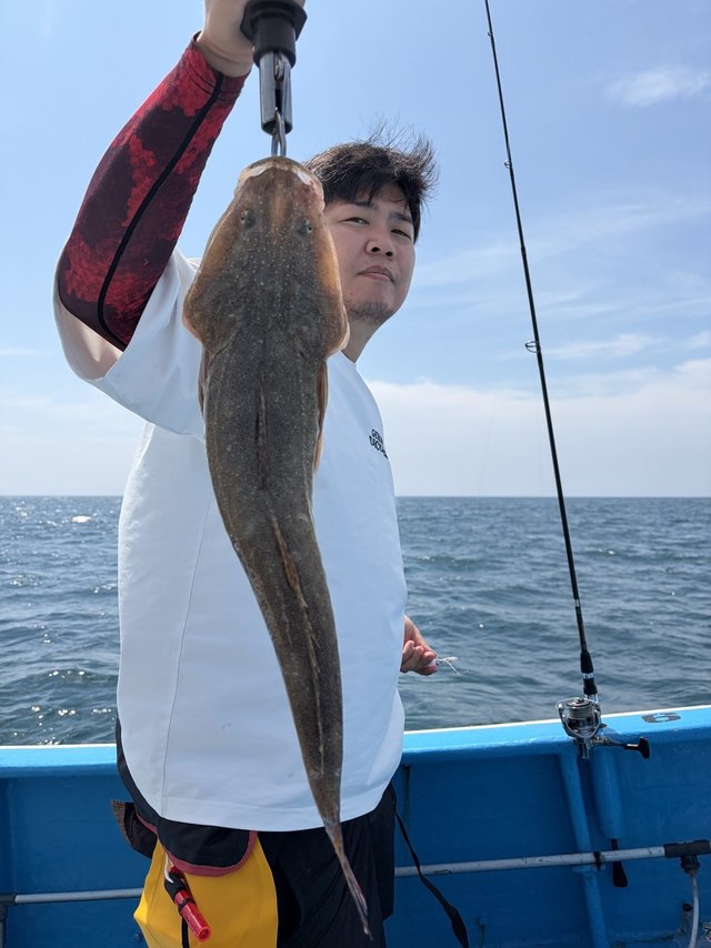 マゴチ