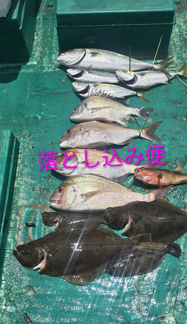 ヒラメ