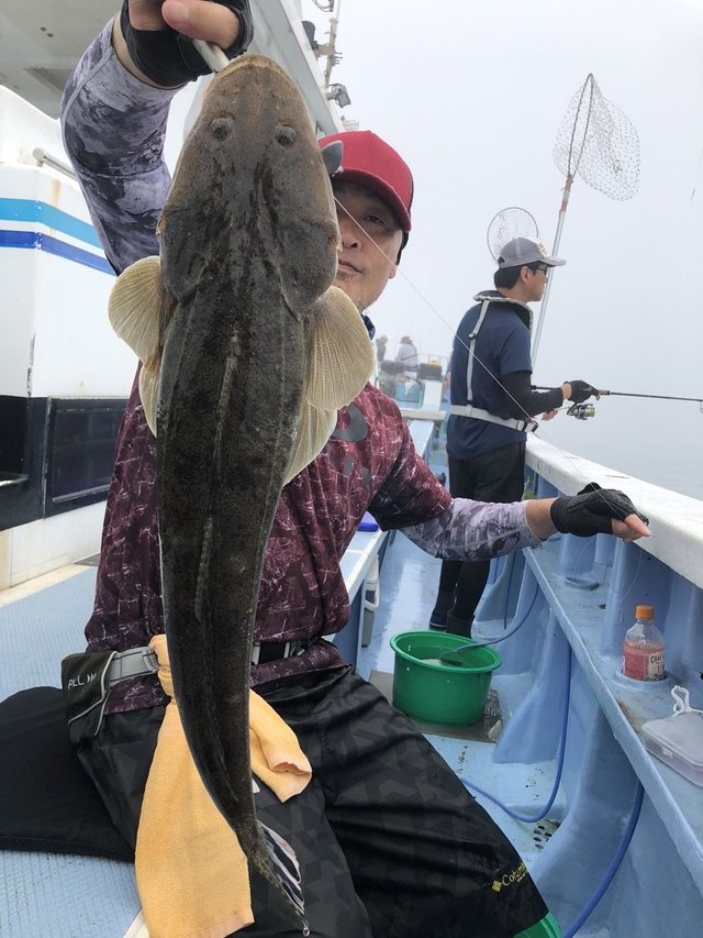 マゴチ