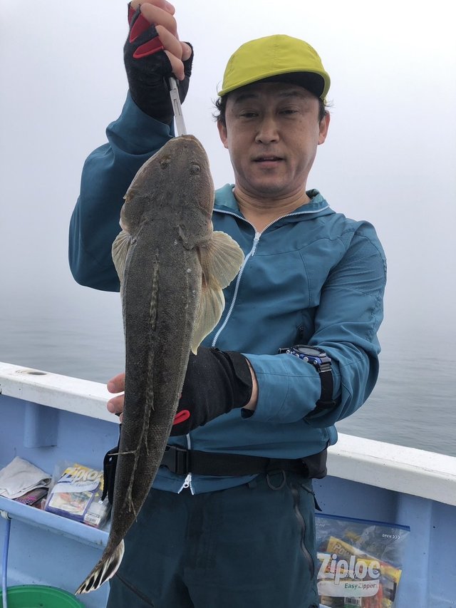 マゴチ