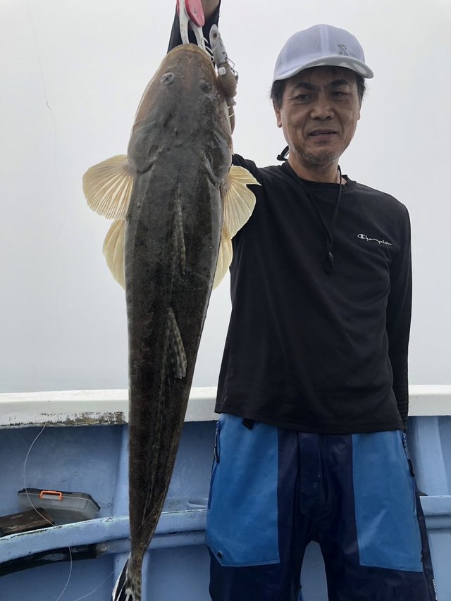 マゴチ