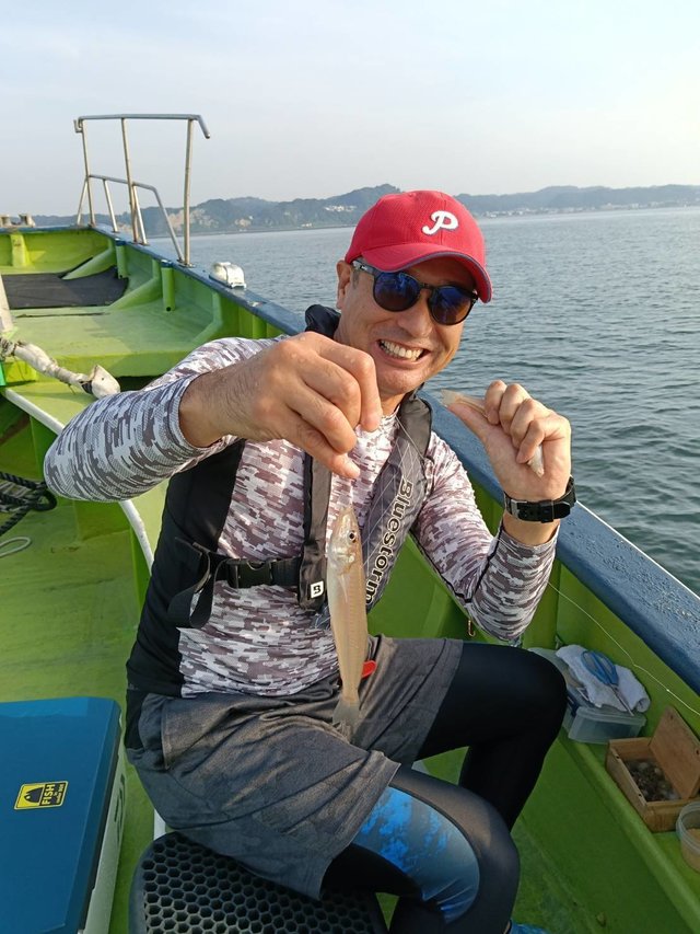 シロギス