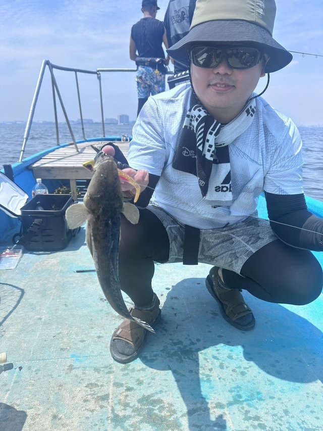 マゴチ