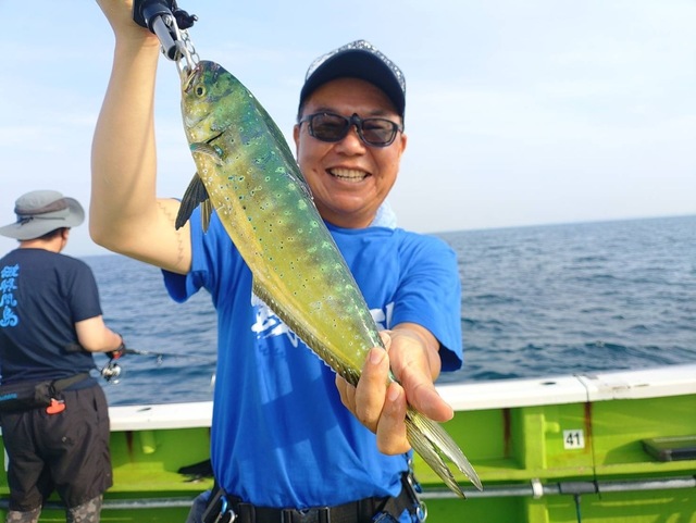 シイラ