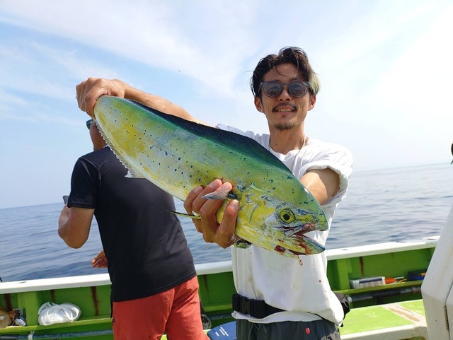 シイラ
