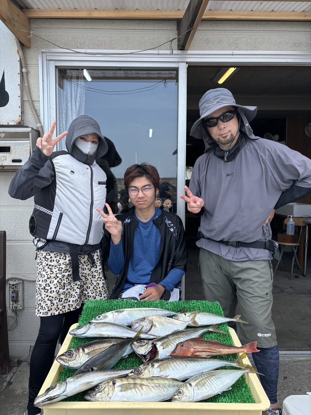 アジ(マアジ)