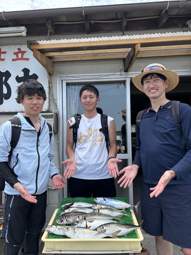 アジ(マアジ)