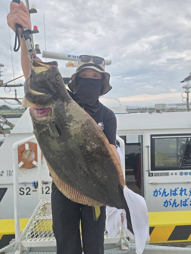 ヒラメ